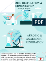 Anaerobic Respiration & Fermentation: Martir, Z. & Quiza
