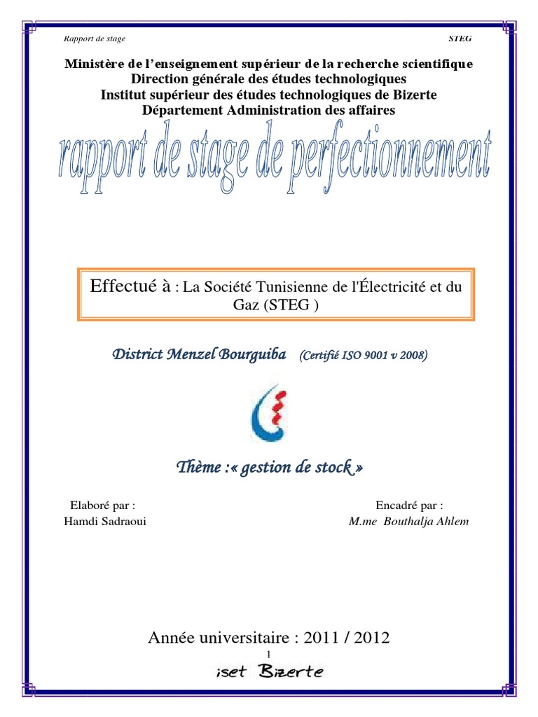 Rapport de stage à la STEG | PDF | Économie