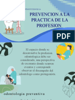 Prevencion A La Practica de La Profesion