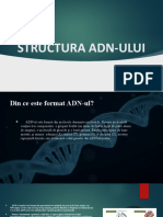Structura Adn-Ului