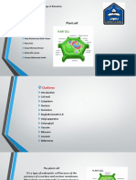 Plant Cell: Duhok University - College of Education Department of Biology First Stage