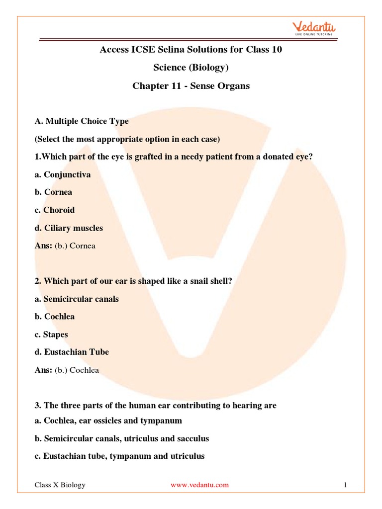 ICSE Class 10 Biology: Sense Organs Guide | PDF | Ear | Human Eye