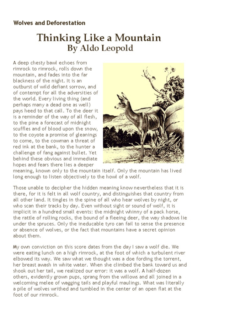 Thinking Like A Mountain by Aldo Leopold Wolves and Deforestation