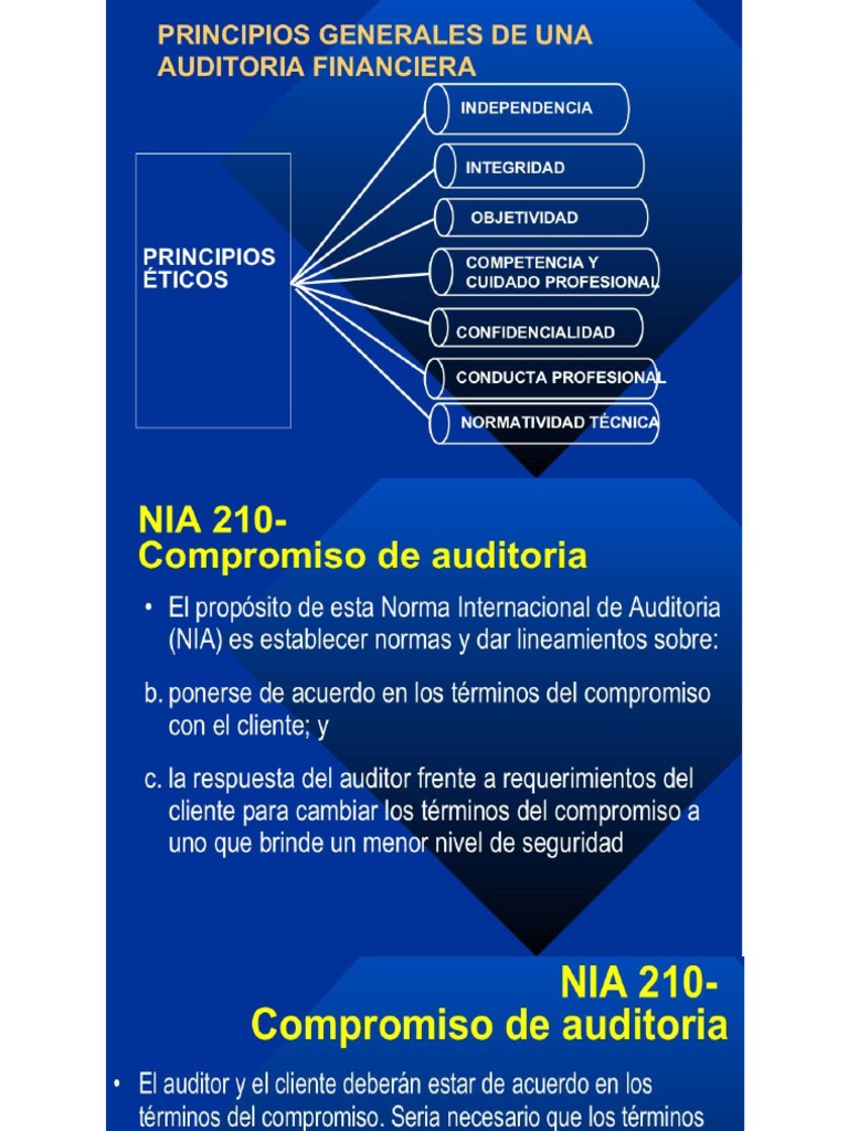 Presentación De Auditoria Publica Pdf