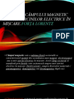 acțiunea câmpului magnetic