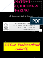 Dr. Saharnauli JVS, M.Biomed: Departemen Anatomi Fakultas Kedokteran Universitas HKBP Nommensen 2020