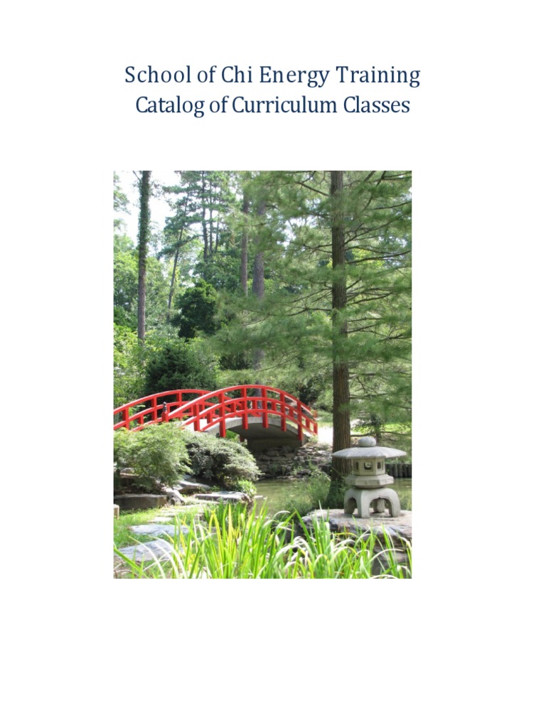 Chi Energy Training Curriculum Overview | PDF