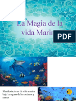 La Magia de La Vida Marina