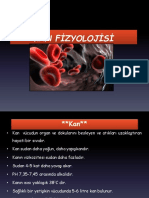 Kan Fizyolojisi