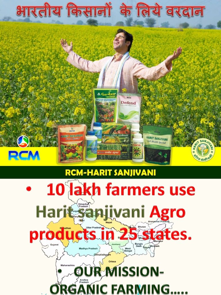 Hindi Presentation PDF