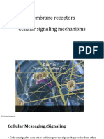 Lecture 8 Membrane Receptors & Cellular Signalling