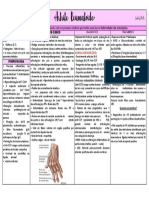 Epidemiologia Quadro Clínico