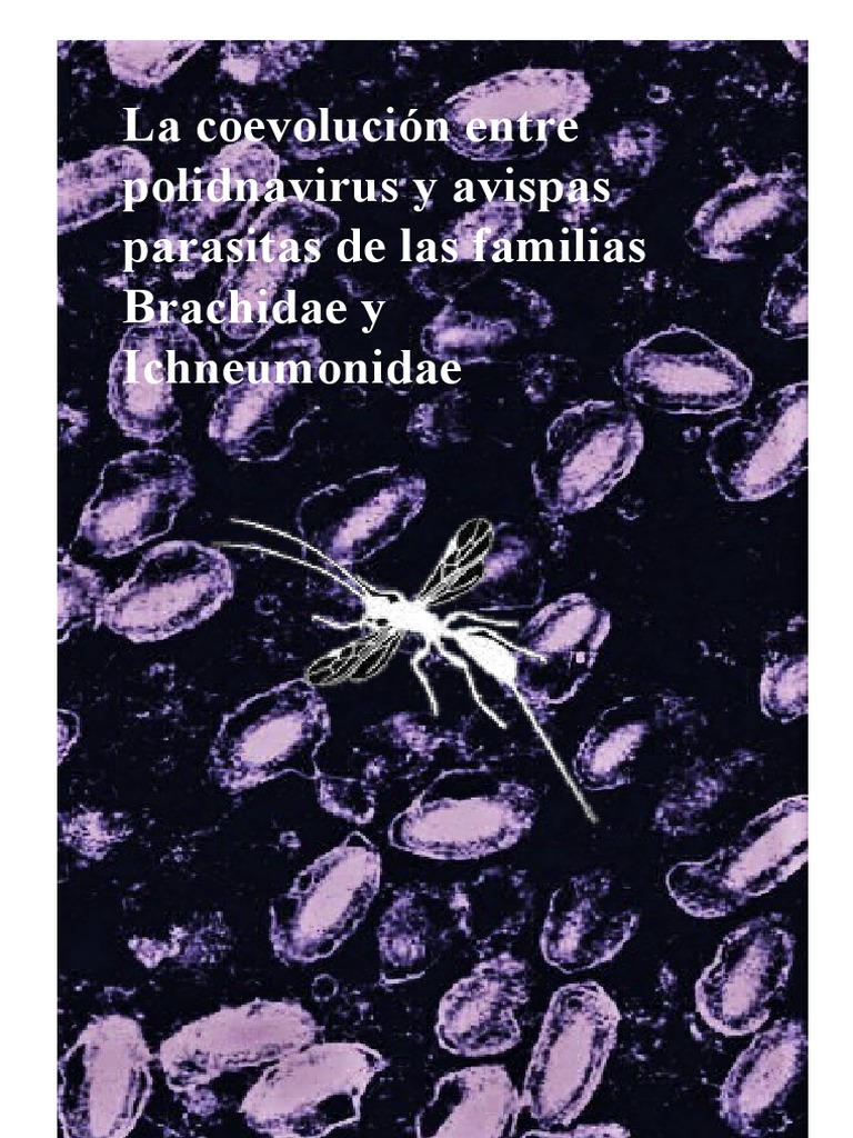 Coevolución de polidnavirus e icneumonidos | PDF | Biología ...