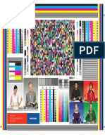 Onyx Quality Test PDF | PDF | Printing | Computer Graphics
