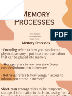 Memory Processes Explained