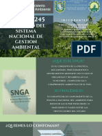 LEY N°28245: Ley Marco Del Sistema Nacional de Gestion Ambiental