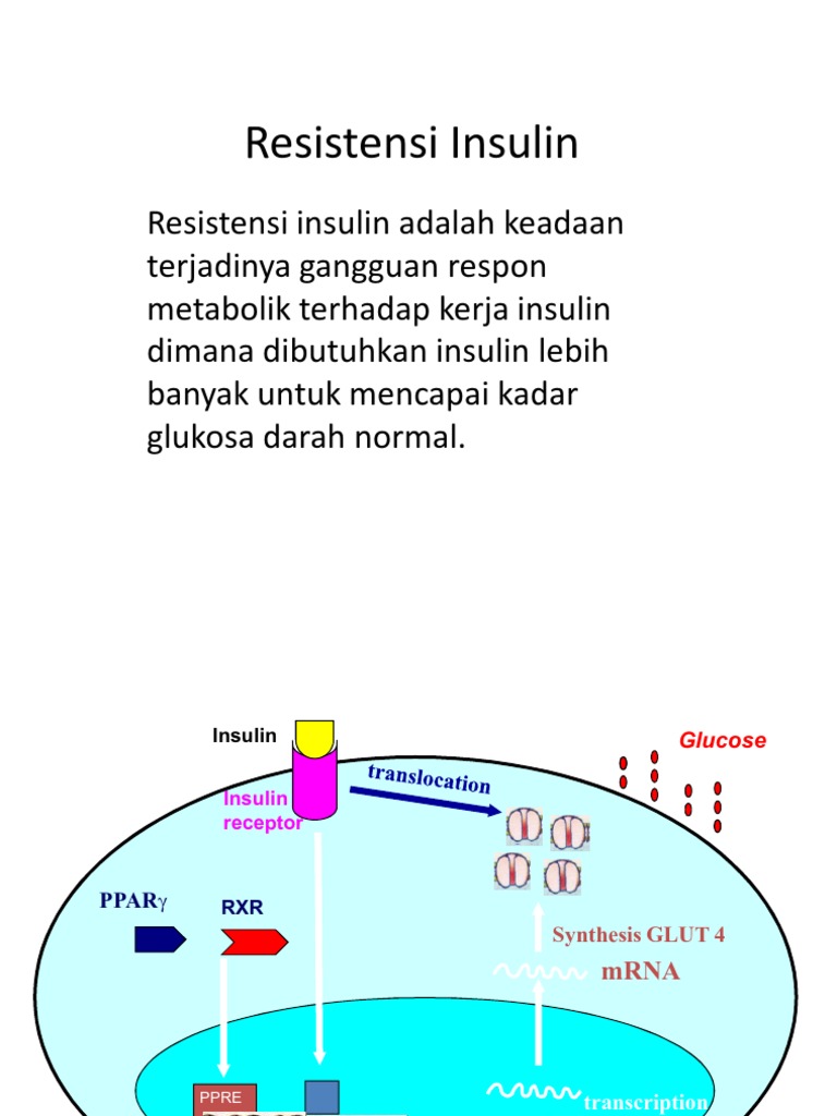 Resistensi Insulin | PDF | Kesehatan Holistik