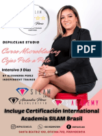 Curso Microblading 3 Días Intensivo