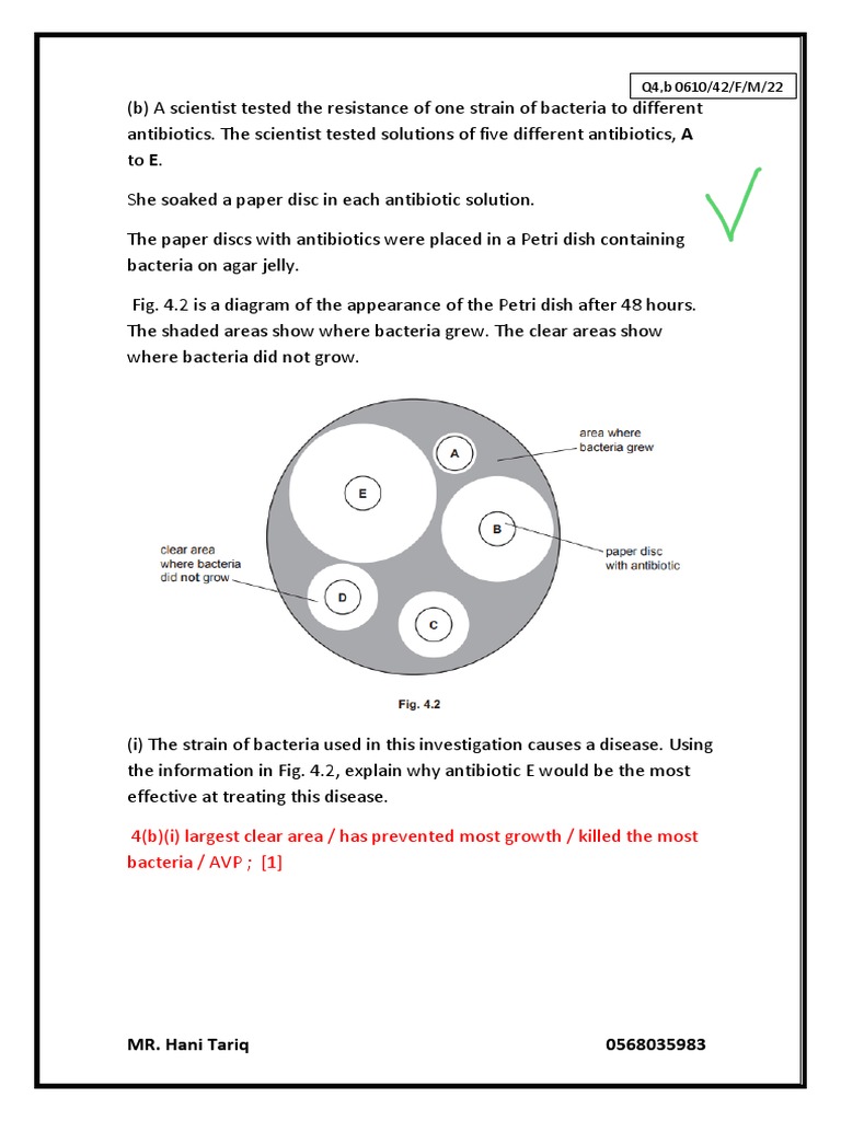 Antibiotic Resistance in Bacteria Study | PDF