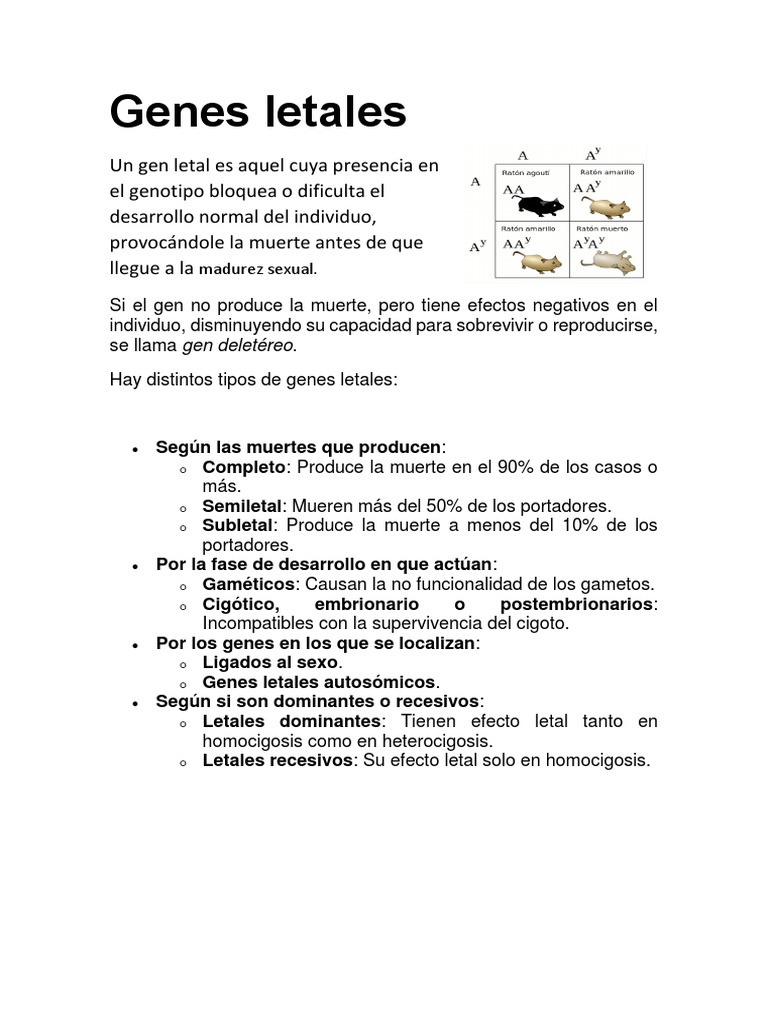 Tipos y efectos de genes letales | PDF | Tipo de sangre | Genética