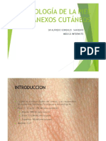 Semiologia de La Piel y Anexos Cutaneos