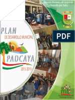 PDM-Padcaya 2015-2019