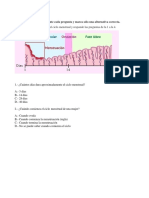 Formativa Ciclo