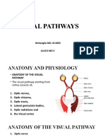 Visual Pathways: Mshangila MD, M.MED Ajuco MD 3