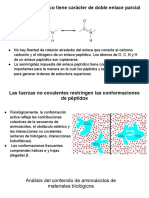 El Enlace Peptídico