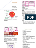 Copia de MICROBIOLOGÍA PRÁCTICAS FASE I