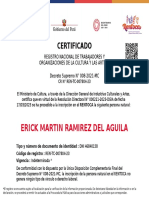 Erick Martin Ramirez Del Aguila: Certificado