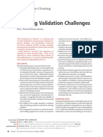 Cleaning Validation Challenges: New Perspectives On Cleaning