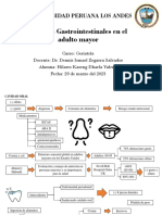 Universidad Peruana Los Andes: Cambios Gastrointestinales en El Adulto Mayor