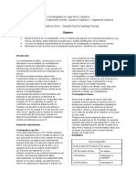 Reporte Experimental, Cromatografía en Capa Fina y Columna