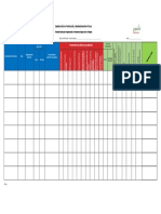 Formato de Programa Diario Oficial Gsstpa