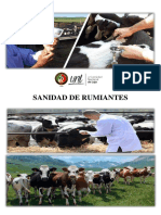 Sanidad de Rumiantes