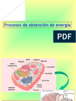 Procesos de Obtención de Energía