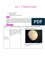 Práctica 1-Coacervados Biologia
