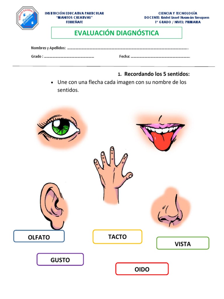 Evaluaciòn Diagnostica de Ciencia y Tecnologia Primer Grado | PDF
