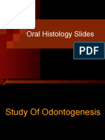 Oral Histology Slides