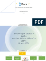 Embriologia Cabeza y Cuello 507641 Downloable 1715019