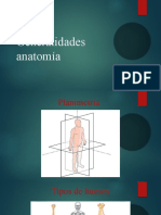 Generalidades Anatomía