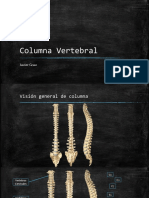 Columna Vertebral: Javier Grau