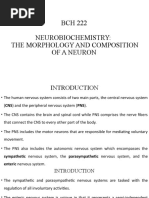 BCH 222 Neurobiochemistry: The Morphology and Composition of A Neuron