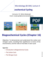 Biogeochemical Cycling: Environmental Microbiology (BI 304) : Lecture 4