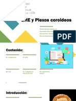 Plexos Coroideos - 230330 - 170903