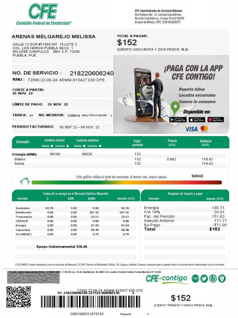 Recibo de Luz CFE 2022 Editable PDF | PDF | Naturaleza | Cantidades fisicas