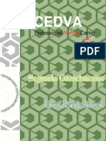 Cedva: Professional Center