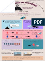 Infografia Microbiologia