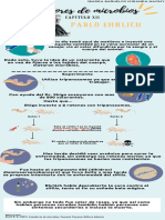 Infografia Microbiologia